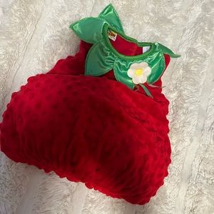 Strawberry Baby Dress Costume